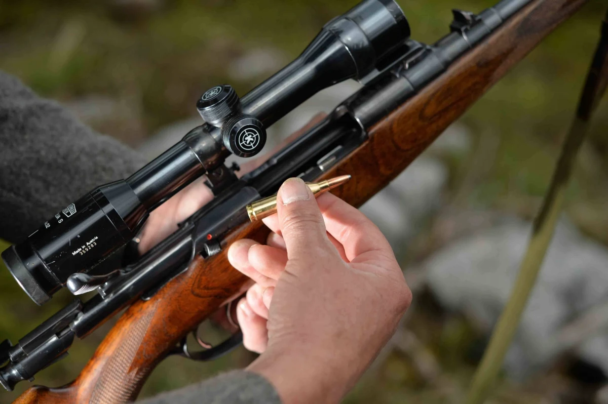 Protesty obrońców zwierząt wywołało nowe rozporządzenie władz włoskiego regionu Liguria. Wraz z rozpoczęciem sezonu łowieckiego wprowadzono tam kary do 400 euro dla tych, którzy będą umyślnie przeszkadzać myśliwym w polowaniu.