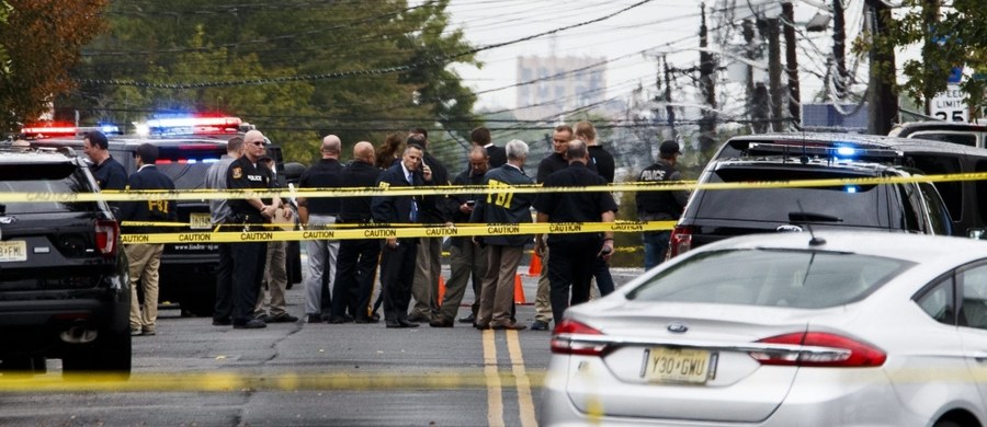 Ahmad Khan Rahami, zatrzymany w związku z podłożeniem ładunków wybuchowych w Nowym Jorku i w jednej z miejscowości w stanie New Jersey, usłyszał 10 zarzutów. Dotyczą one m.in. użycia broni masowego rażenia i podłożenia ładunku wybuchowego w miejscu publicznym.