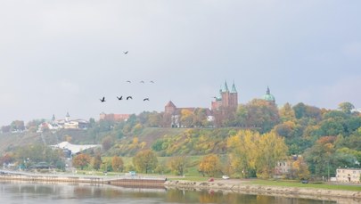 Wysokie stężenie benzenu w Płocku. Według służb: Źródłem PKN Orlen