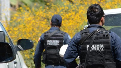W Meksyku znaleziono ciała 13 członków gangu. Prawdopodobnie zginęli z rąk dawnych sojuszników