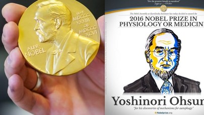 Nobel z medycyny przyznany. Laureatem został Japończyk Yoshinori Ohsumi za... "sprzątanie komórek"