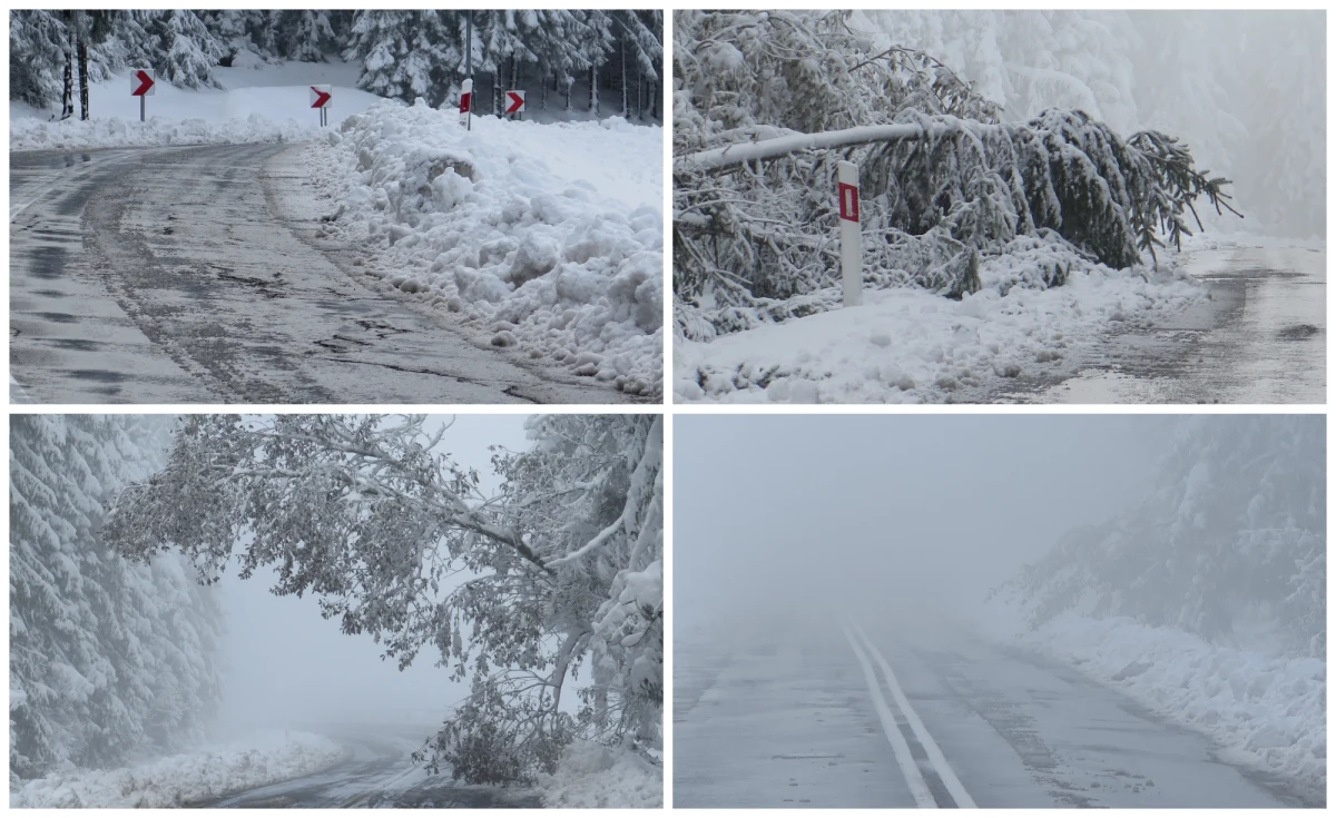 Co najmniej kilkadziesiąt razy Straż Pożarna w Nowym Targu wyjeżdżała tej nocy do akcji. Obfite opady śniegu sparaliżowały ruch na drogach. Zdjęcia z sytuacji na drogach dostaliśmy od Was na Gorącą Linię RMF FM. Śnieg uszkodził też wiele linii energetycznych.