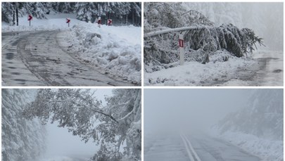 Atak zimy na Podhalu. Śnieg sparaliżował ruch na drogach, część miejscowości bez prądu