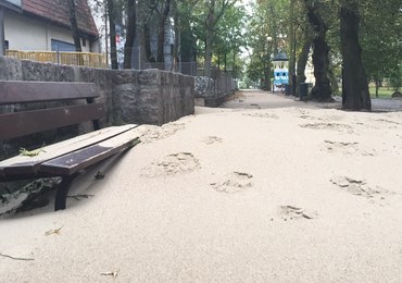 Molo w Sopocie ponownie otwarte. Plaża przeniosła się natomiast... do parku