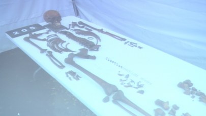 Na Łączce znaleziono szczątki kilkunastu osób. IPN: "Może być ich znacznie więcej"  