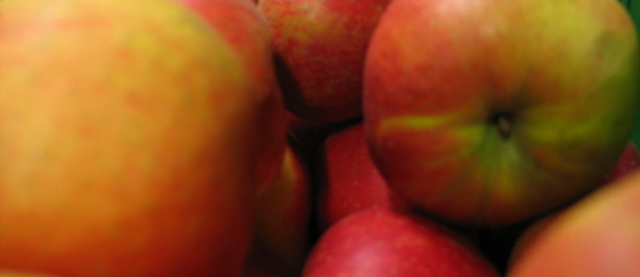 Za kilkanaście dni okaże się, czy polscy hodowcy jabłek będą mogli sprzedawać swe owoce do Chin. Dziś skończyła się ostatnia kontrola chińskich inspektorów u naszych producentów. 