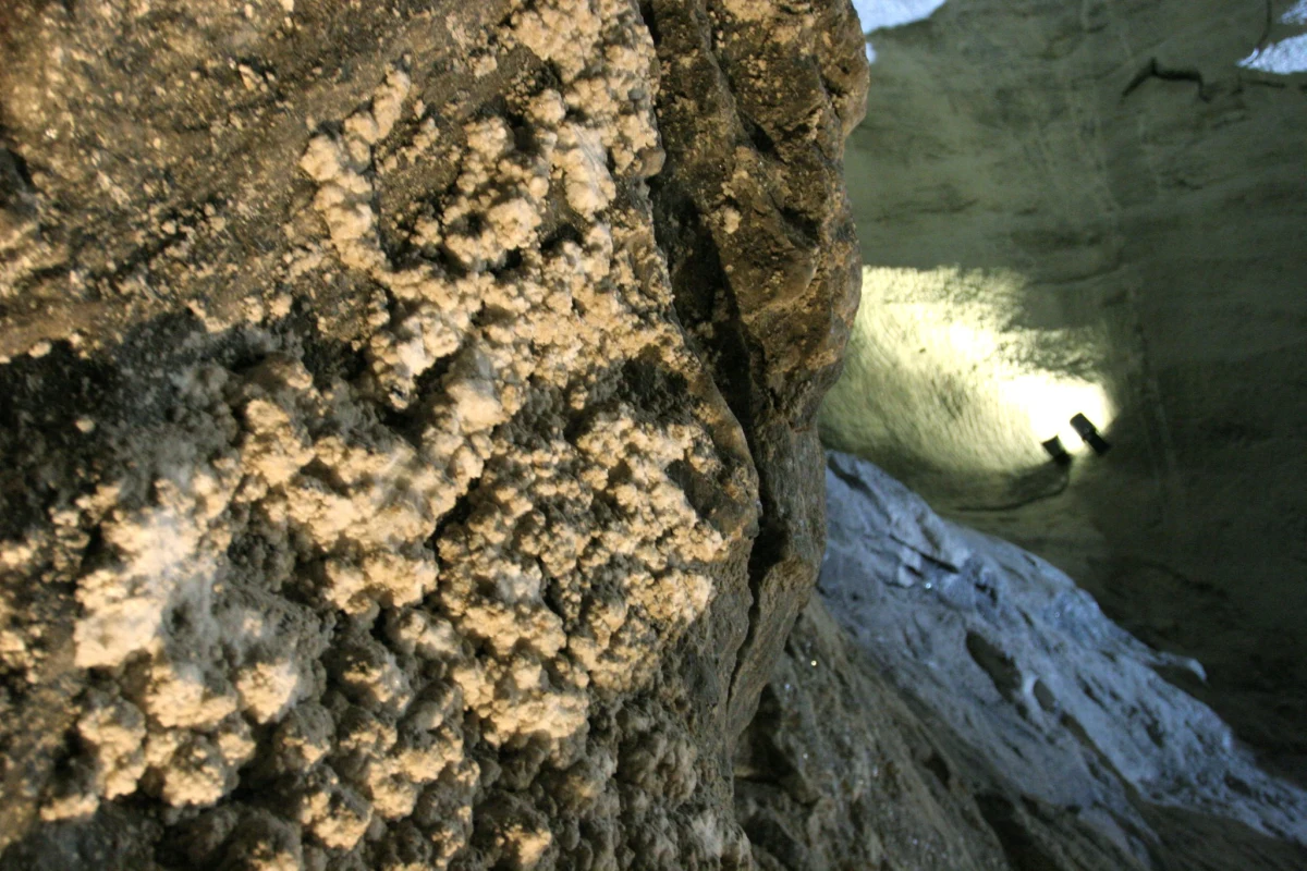 Tysiące fragmentów naczyń, które służyły do produkcji soli ok. 2,5-3 tys. lat temu, odkryli archeolodzy w Tyrawie Solnej (woj.  podkarpackie).  "To unikatowe miejsce. Najbliższe ślady pozyskiwania soli w pradziejach pochodzą z rejonu Wieliczki" - poinformował dr Maciej Dębiec.