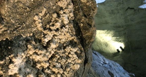 Tysiące fragmentów naczyń, które służyły do produkcji soli ok. 2,5-3 tys. lat temu, odkryli archeolodzy w Tyrawie Solnej (woj.  podkarpackie).  "To unikatowe miejsce. Najbliższe ślady pozyskiwania soli w pradziejach pochodzą z rejonu Wieliczki" - poinformował dr Maciej Dębiec.