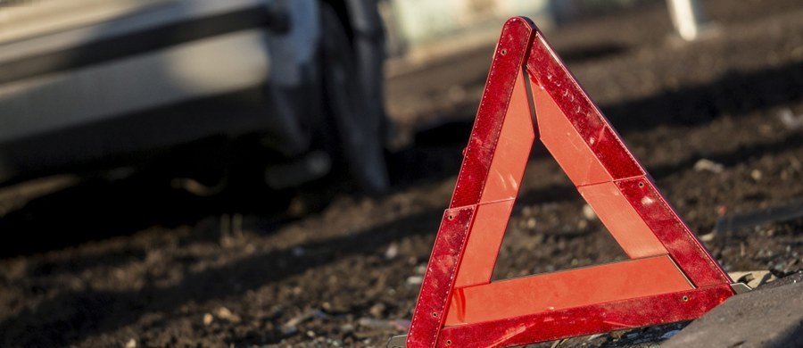 Tragiczny wypadek na Dolnym Śląsku. W czołowym zderzeniu samochodu osobowego z ciężarówką w Działoszynie w powiecie zgorzeleckim zginęły cztery osoby: kierowca osobówki i trójka jego dzieci. 