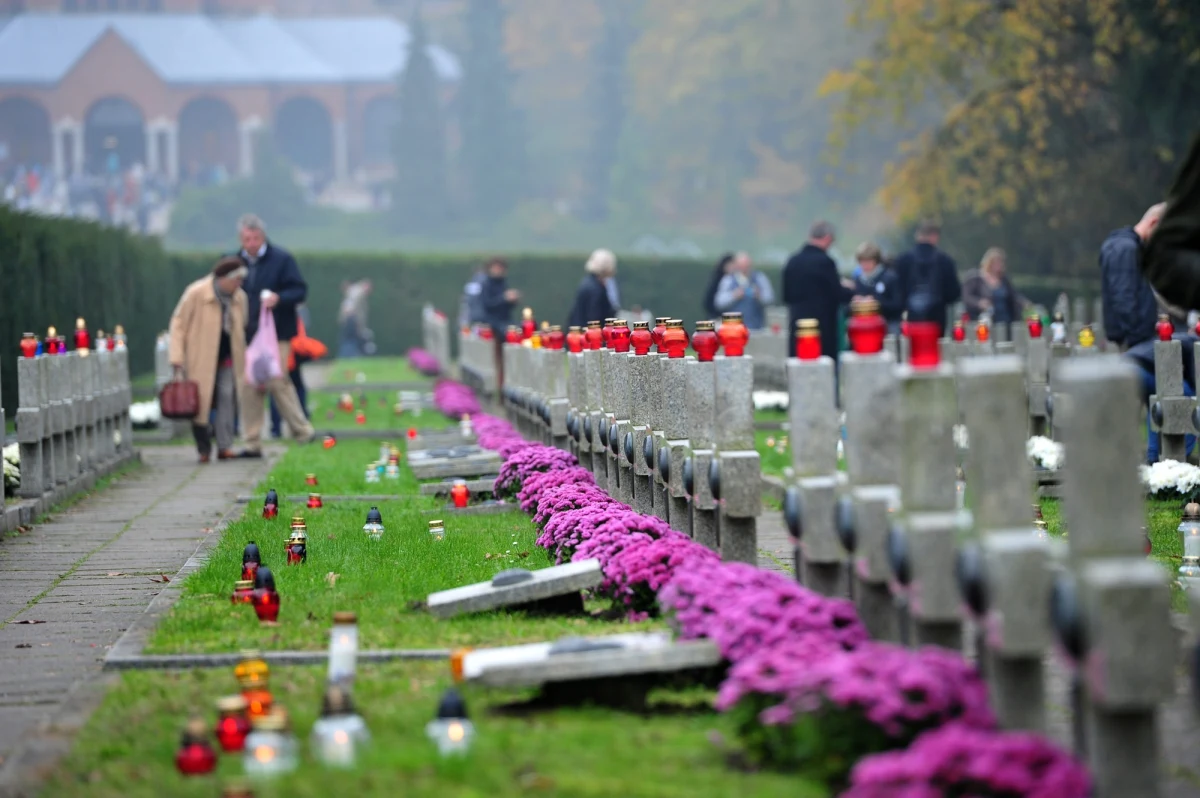 W Szczecinie zmiany w kursowaniu komunikacji miejskiej i samochodów przed 1 listopada będą obowiązywać już od 29 października. Kierowcy powinni pamiętać o tym, żeby nie jeździć na pamięć i zwracać uwagę na nowe znaki drogowe. 
