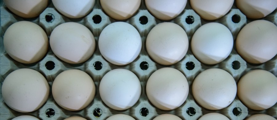 Ze sklepów Biedronka wycofane zostały partie jajek z wielkopolskich ferm drobiu. Nakazał to Główny Lekarz Weterynarii z powodu obecności bakterii salmonelli w dwóch stadach kur niosek. 