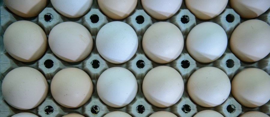 Ze sklepów Biedronka wycofane zostały partie jajek z wielkopolskich ferm drobiu. Nakazał to Główny Lekarz Weterynarii z powodu obecności bakterii salmonelli w dwóch stadach kur niosek. 