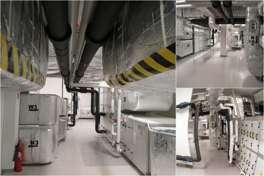 /Aneta Łuczkowska /RMF FM