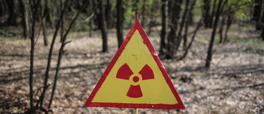 W dawnej elektrowni atomowej w Czarnobylu rozpoczęto przesuwanie na właściwe miejsce nowej stalowej osłony reaktora nr 4, który został zniszczony w katastrofie w 1986 roku - poinformował w poniedziałek Europejski Bank Odbudowy i Rozwoju. EBOR zarządza finansowaniem tego przedsięwzięcia i wspiera je większym funduszem niż ktokolwiek z pozostałych darczyńców.