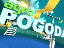 Agropogoda
