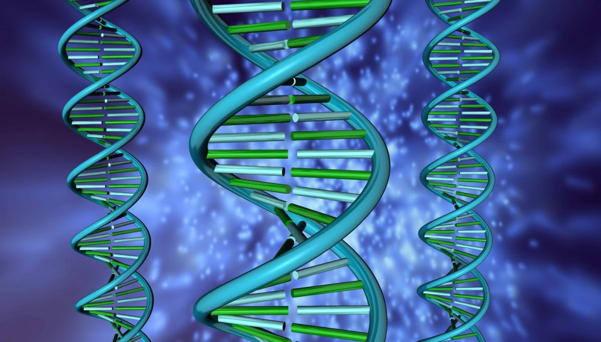 Chiny rozpoczęły pierwszy w historii eksperyment, w którym na człowieku testują skuteczność metody edycji genów CRISPR–Cas9. Jak pisze na swej stronie internetowej czasopismo "Nature", posunięcie to może rozpocząć prawdziwy biomedyczny wyścig między Chinami i Stanami Zjednoczonymi. Badacze z Sichuan University i West China Hospital w Chengdu podali pacjentowi choremu na agresywną postać raka płuc zmodyfikowane komórki odpornościowe, które dzięki korekcie jednego z genów mają skuteczniej atakować komórki nowotworowe.