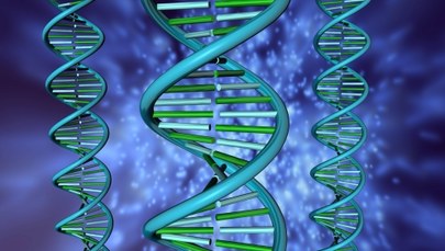 Chińczycy pierwsi zastosowali metodę edycji genów CRISPR u człowieka