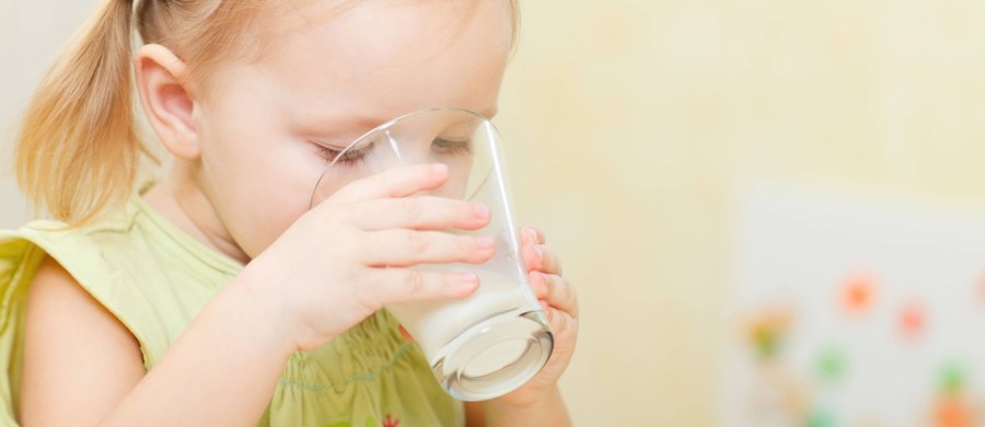 Niespodzianka w badaniach kanadyjskich naukowców. Okazuje się, że dzieci, które piją pełne mleko są szczuplejsze, niż te, które piją mleko chudsze, albo w ogóle bez tłuszczu. Badacze pod kierunkiem dr Jonathona Maguire ze Szpitala Świętego Michała w Toronto przewracają do góry nogami dotychczasowe wskazania dietetyków. W najnowszym numerze czasopisma "American Journal of Clinical Nutrition" piszą też, że dzieci pijące pełne mleko mają w organizmie wyższy poziom witaminy D.