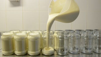 Rosja będzie walczyła z polskim mlekiem? "Traktować je tak, jak Polska traktuje pomniki radzieckie"