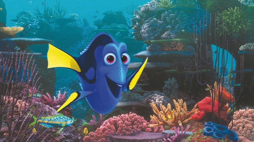 Mówi się trudno i płynie się dalej! Życiowe motto Dory z "Gdzie jest Nemo" stało się inspiracją dla milionów widzów.  DisneyPixar przedstawia ekscytującą kontynuację przeboju sprzed 13 lat, której fabuła skupi się właśnie na losach uroczej, zapominalskiej rybki! Niesamowita opowieść o potędze przyjaźni i rodzinnych więzów jest już dostępna na płytach Blu-ray 3D, Blu-ray i DVD.  