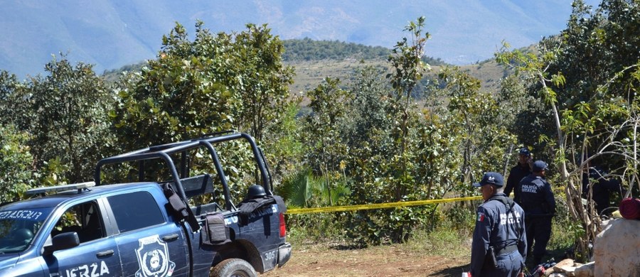 W 20 grobach zbiorowych w gminie Zitlala w stanie Guerrero na południu Meksyku znaleziono 9 głów i szczątki 32 osób, w tym jednej kobiety - poinformowały władze lokalne. Dotychczas nie zidentyfikowano żadnej z ofiar.