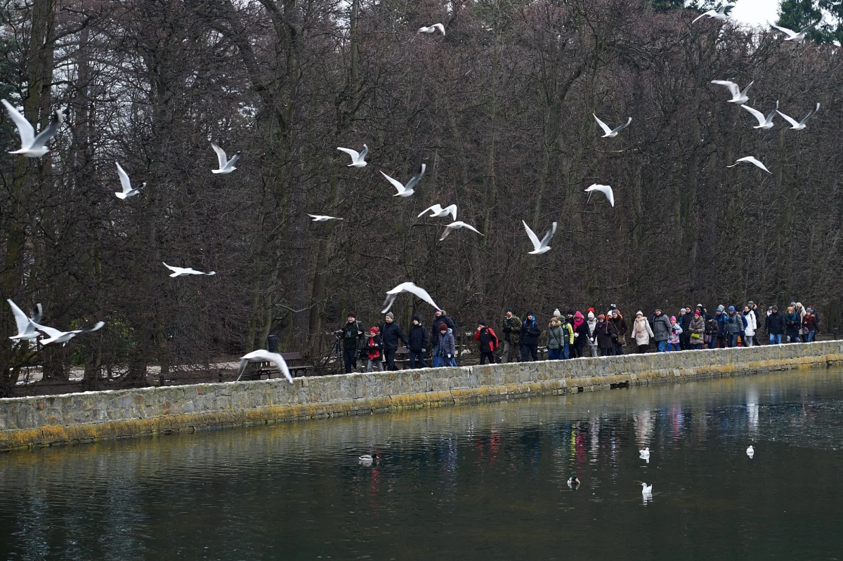 Park Oliwski oraz wszystkie gdańskie cmentarze zostały zamknięte do odwołania. Powodem jest silny wiatr, który może łamać gałęzie drzew rosnących w tych miejscach.
