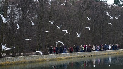 Gdańsk: Park i cmentarze zamknięte. Wszystko przez silny wiatr