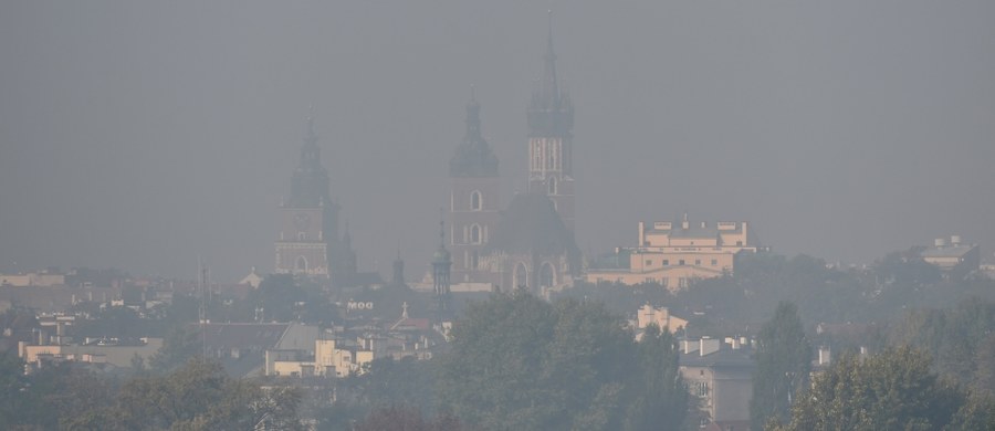 Konstrukcja wypełniona mchem pochłaniającym smog, autorstwa niemieckiego zespołu, została uznana za najlepsze rozwiązanie drugiej edycji Smogathonu w Krakowie. Jego uczestnicy przez dobę szukali najlepszych rozwiązań w walce z zanieczyszczonym powietrzem.