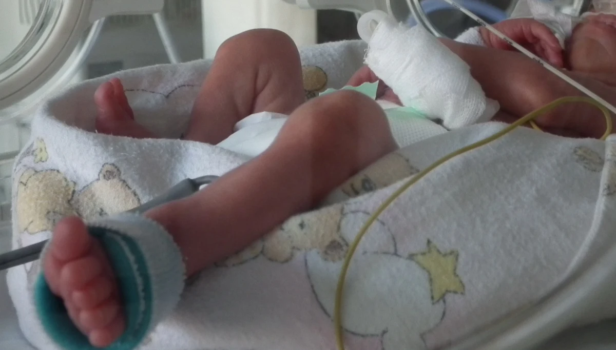 Łódzki sąd aresztował w sobotę na dwa miesiące rodziców 3-miesięcznej dziewczynki podejrzanych o znęcanie się nad nią ze szczególnym okrucieństwem. Dodatkowo ojciec dziecka ma zarzut spowodowania u niego obrażeń ciała, które naruszyły czynności narządów na czas powyżej 7 dni. 