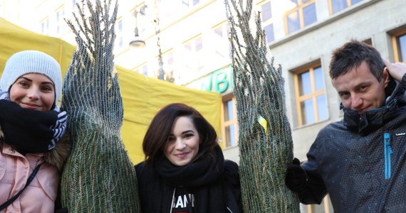 Zielone, pachnące świętami drzewa rozdawaliśmy dziś na Placu Solnym we Wrocławiu. Tradycyjnie podczas naszej choinkowej akcji szukaliśmy także talentów wokalnych! W każdym mieście organizujemy kolędowe karaoke, w każdym nasze jury wybierze jedno, najciekawsze według jurorów, wykonanie. Autorzy 12 wyróżnionych wykonań zmierzą się później w Wielkim Finale - to Wy zdecydujecie wówczas w głosowaniu, którą kolędę usłyszymy na antenie RMF FM w Wigilię, na rozpoczęcie specjalnego Wieczoru Kolęd o godzinie 17:00!