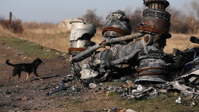 Śledztwo ws. zestrzelonego boeinga nad Ukrainą. Prokuratura gwarantuje świadkom ochronę
