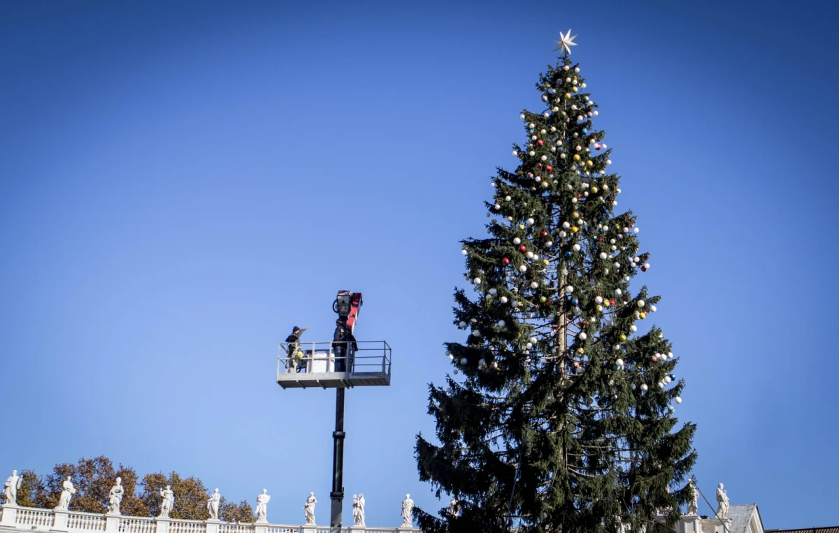 Świąteczna choinka ustawiona na Placu Weneckim w Rzymie, którą okrzyknięto najbrzydszą we Włoszech, została ponownie udekorowana i poprawiona. Poleciły to zrobić władze miejskie po fali krytyki w prasie, która nazwała drzewko "smutnym drapakiem".
