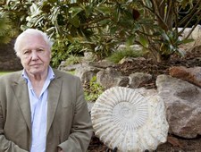 David Attenborough i cuda natury