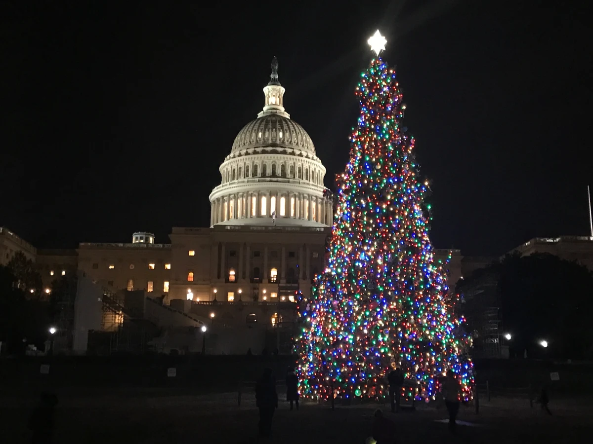 Amerykanie kochają świąteczne dekoracje. Inaczej niż w Polsce, choinki - także w domach - pojawiają się już nawet pod koniec listopada, ale na początku nowego roku są już rozbierane. Najważniejsze świąteczne drzewka to oczywiście to ustawiane przed Centrum Rockefellera w Nowym Jorku, a kolejna - przed Kapitolem w Waszyngtonie.