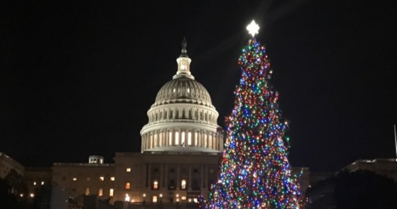 Amerykanie kochają świąteczne dekoracje. Inaczej niż w Polsce, choinki - także w domach - pojawiają się już nawet pod koniec listopada, ale na początku nowego roku są już rozbierane. Najważniejsze świąteczne drzewka to oczywiście to ustawiane przed Centrum Rockefellera w Nowym Jorku, a kolejna - przed Kapitolem w Waszyngtonie.