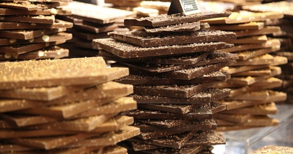 Nowy rok przyniesie nam sporo podwyżek cen. Znajdą się jednak i takie produkty, które będą tańsze.