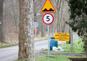 Coraz więcej ognisk ptasiej grypy w Polsce