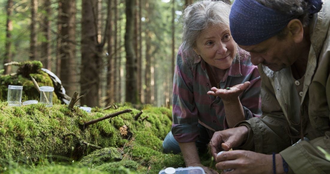 "Powidoki" Wajdy, "Pokot" Holland i "Las, 4 rano" Kolskiego - to filmy, które zobaczymy w kinach w 2017 roku. Na ekranach pojawią się również nowe produkcje Scorsese, Sieriebriennikowa i Verhoevena.