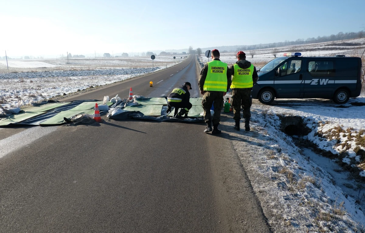 ​W miejscowości Włochy na północy województwa opolskiego stwierdzono ognisko ptasiej grypy - poinformowało biuro prasowe wojewody.  Kilka dni temu wybito stado zarażone wirusem tej choroby w gminie Cisek na granicy z województwem śląskim.
