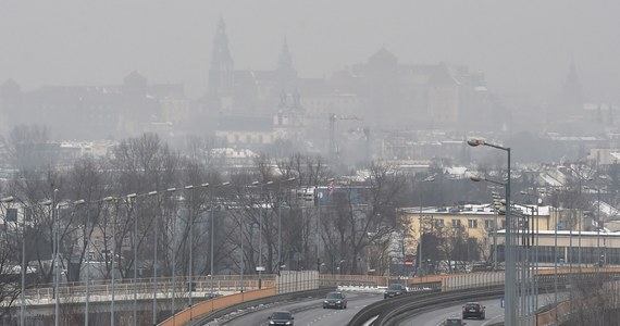 Rzecznik Praw Dziecka domaga się, by rząd stworzył zasady postępowania w szkołach i przedszkolach w czasie alarmów smogowych. W liście do ministrów edukacji, zdrowia i środowiska Marek Michalak prosi o pilną decyzję w sprawie ochrony dzieci i podanie zasad do publicznej wiadomości. Władze Rybnika w Śląskiem same zdecydowały o zamknięciu we wtorek i środę szkół i przedszkoli. W wielu miastach dopuszczalne poziomy dotyczące ilości pyłu w powietrzu przekroczone są ponad 20-krotnie. We wtorek sytuacja może się pogorszyć. Europejska Agencja Ochrony Środowiska szacuje, że z powodu smogu w Polsce co roku umiera przedwcześnie 45 tysięcy ludzi - 15 razy więcej niż ginie w wypadkach drogowych. 