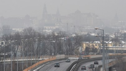 Trujące powietrze nad Polską. Rzecznik Praw Dziecka pisze do resortów ws. walki ze smogiem