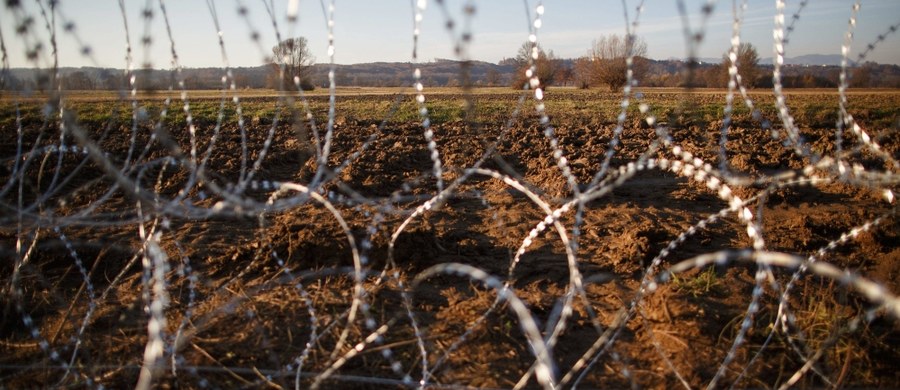 Litewski rząd planuje wybudowanie 135-kilometrowego płotu na granicy z rosyjskim Kaliningradem. Wydatek został już zaplanowany w budżecie na 2017 rok. 