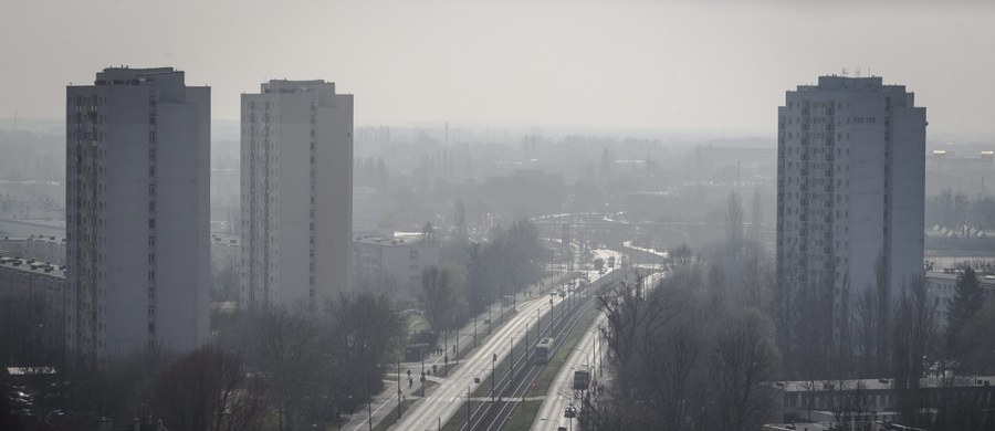 ​Nowa akcyza samochodowa będzie zniechęcać do zakupu za granicą aut, które emitują dużo zanieczyszczeń. "Wstrzeliliśmy się bardzo dobrze naszą inicjatywą zmiany stawek akcyzowych. One mają w inny sposób obciążać samochody, które spalają paliwo w sposób najbardziej szkodliwy dla środowiska" - tłumaczy w rozmowie z RMF FM Mateusz Morawiecki.