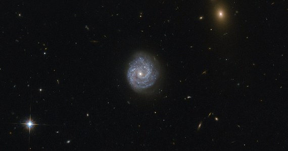 Agencje NASA i ESA opublikowały piękne zdjęcie galaktyki RX J1140.1+0307, widocznej w gwiazdozbiorze Panny i oferującej astronomom interesującą zagadkę. Na pierwszy rzut oka obiekt ten wydaje się zwyczajną, podobną do Drogi Mlecznej galaktyką spiralną. Bliższe spojrzenie pokazuje jednak, że coś z nim jest nie tak. Nie bardzo da się wyjaśnić obserwowaną jasnośc jądra tej galaktyki.