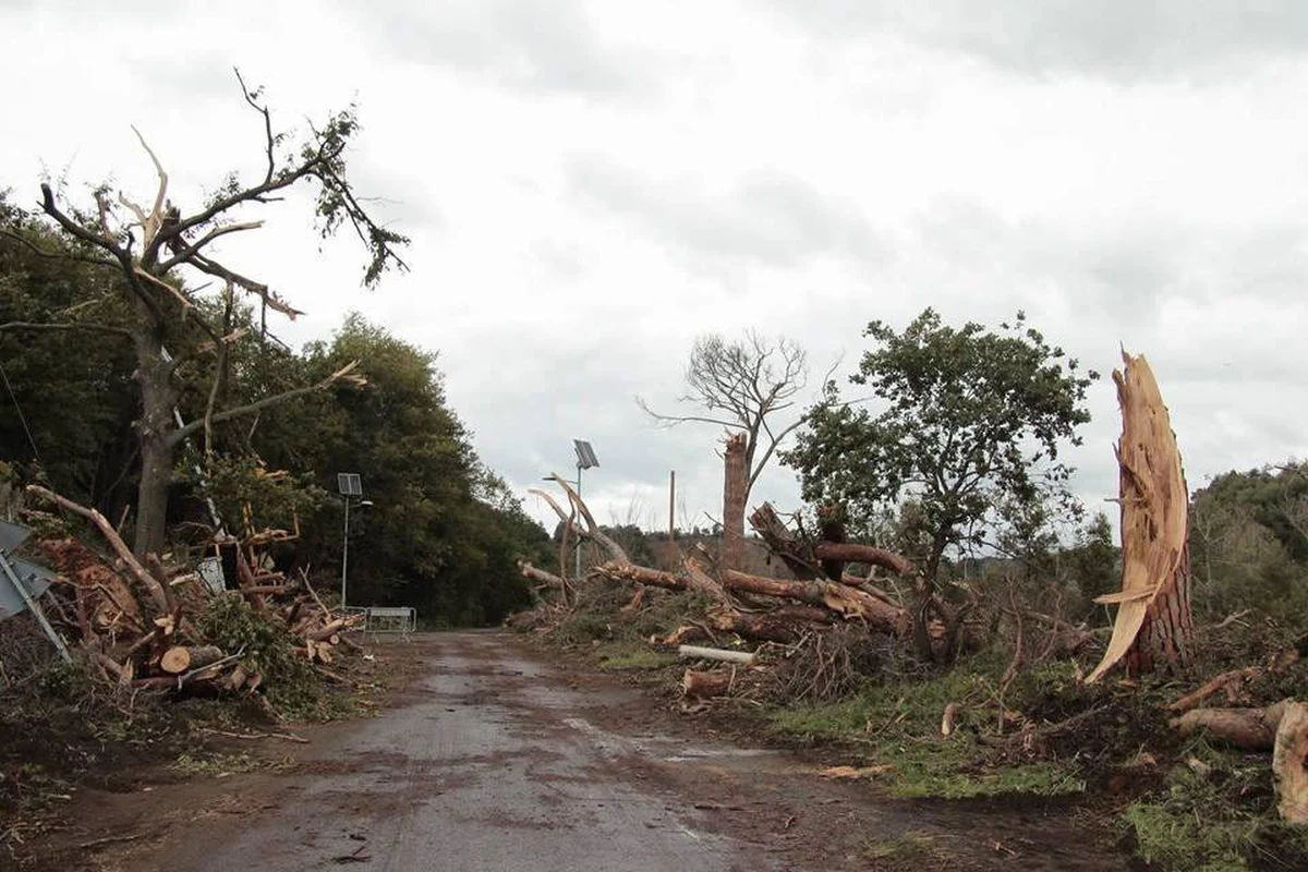 Co najmniej 11 osób zginęło, a 23 zostały ranne na skutek tornad szalejących w amerykańskim stanie Georgia. W siedmiu hrabstwach regionu ogłoszono stan wyjątkowy.