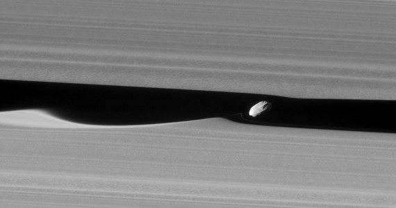Sonda Cassini po rozpoczęciu ostatniego etapu swojej misji przynosi coraz ciekawsze obrazy pierścieni Saturna. Podczas niedawnego przelotu w pobliżu ich krawędzi, 16 stycznia, sonda wykonała najdokładniejsze dotąd zdjęcie księżyca Dafnis, krążącego w szczelinie w pobliżu zewnętrznej krawędzi pierścienia A, zwanej przerwą Keelera. Płaszczyzna orbity księżyca jest lekko nachylona do płaszczyzny pierścieni, co sprawia, że na obu krawędziach przerwy Keelera tworzą się charakterystyczne fale.