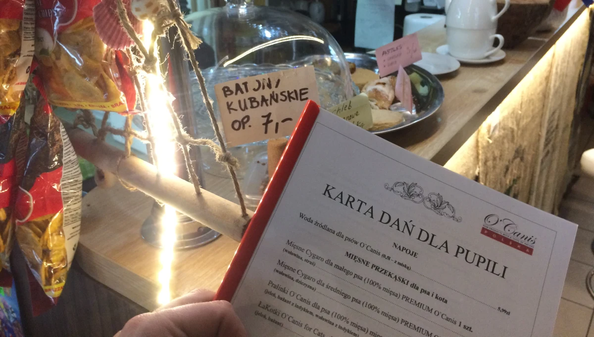 ​Na kolację zabierz psa. Jedna z wrocławskich restauracji nie tylko wpuszcza do lokalu czworonogi, ale przygotowała także specjalne menu dla pupili. Pomysł już przypadł do gustu mieszkańcom, a właścicielka przyznaje, że to wynik jej miłości do zwierząt.