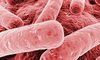 Bakteria oporna na 26 antybiotyków zabiła kobietę