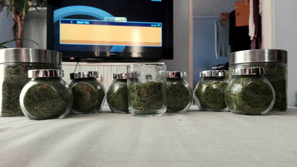 ​Ile igieł znajduje się na świątecznej choince? To pytanie zadają nie tylko dzieci, ale i dorośli. Postanowił to sprawdzić nasz słuchacz. Pan Jakub policzył igły na swojej choince. Drzewko miało ich... 262 tysiące 880. Jak powiedział pan Jakub, należy do tego doliczyć kilkaset innych, które zostały wcześniej wciągnięte przez odkurzacz.