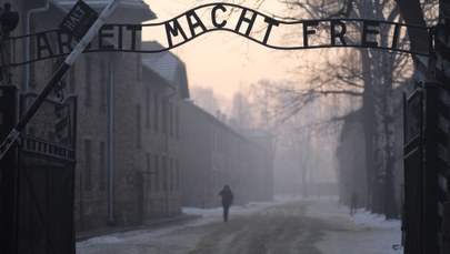 8,5 tys. nazwisk esesmanów. W poniedziałek IPN upubliczni bazę "Załoga SS KL Auschwitz"